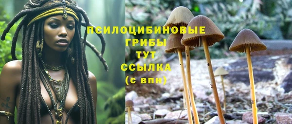 СК Козловка