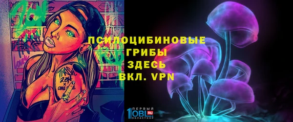 СК Козловка