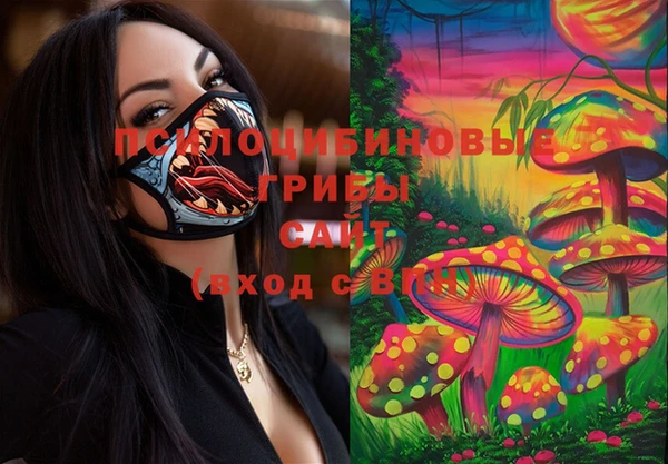 мяу мяу мука Коряжма